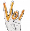 Hand sign Vols.jpg