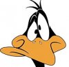 Daffy_awkward_face.jpg