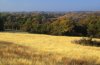 IMG_20150909_150642.jpg