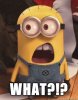 despicablememinion.jpg.cf.jpg