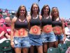 Hogs.jpg.w560h420.jpg