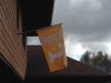 flag pic.JPG