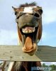 2015-06-26-12-19-51-1809719757.jpeg