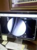 IMG_20110316_121333.jpg