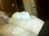 IMG_20110307_100453.jpg