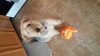 20151107_145758.jpg