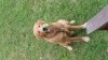 20150501_184155.jpg