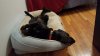 20151021_220838.jpg
