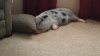 20151015_170453.jpg