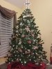 Christmas tree.jpg