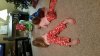 20151224_191146.jpg