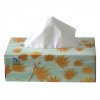 tissue.jpg