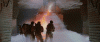image.gif