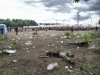 Woodstock 69.jpg
