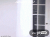 image.gif