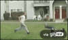 image.gif
