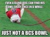 Georgia bulldog falls.jpg