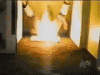 tmp_30488-fire fart gone wrong_1471330216887_videotoimagegif-559300303.gif