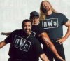 nwo-betta.jpg
