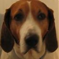 Walkerhound