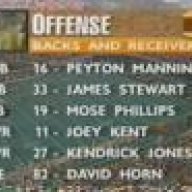 volsnvikes