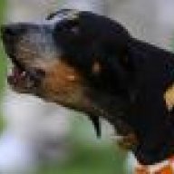 Rocky Top Boyd