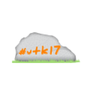 VFL17