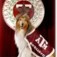 Reveille