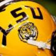 LSUFANS