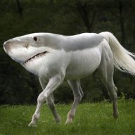 Yakvomit