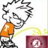 TnVolsRockyTop