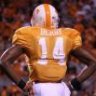Orange&White