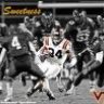 TyHokie