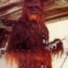 Chewy