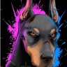 DobermanVol