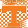 Bobcatvol1978