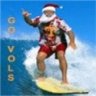 Island_Vol