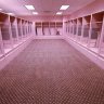 Pink Locker Room