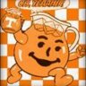 Go13vols13