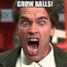 Grow Balls