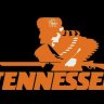 Tennessee Fishing Vol