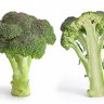 BarrettEatsBroccoli