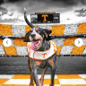 Vols4six