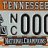 gobravesvols16