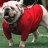CajunDawg