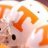 madisonvol