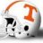 govolsCT