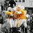 lovemyvols23