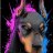 DobermanVol