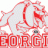GADawgs